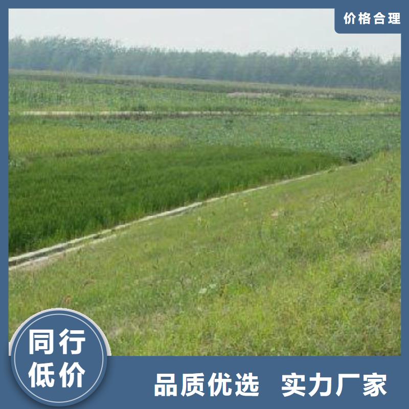 em3三维植被网抗侵蚀耐老化