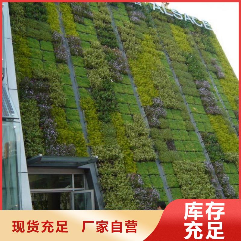 三维土工网垫生产|2025三维植被网