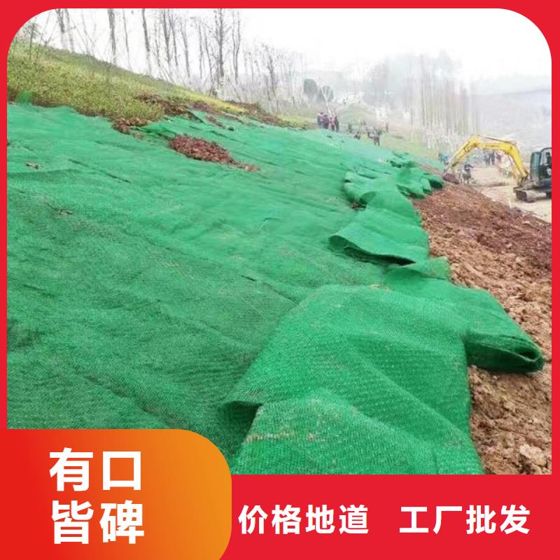 三维植被网-双向塑料土工格栅应用广泛