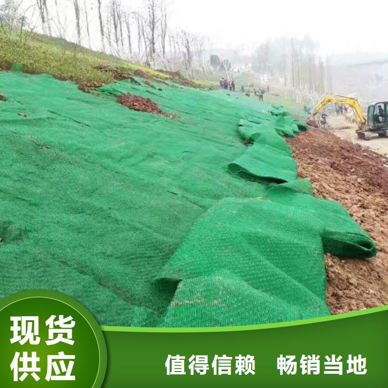 厂家批发护坡绿化用em3三维植被网植草塑料三维植被网em4施工