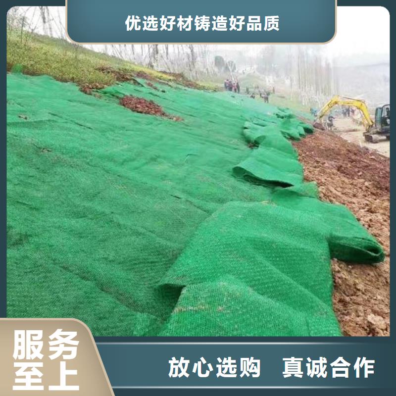 三维植被网凸结点钢塑土工格栅实体厂家支持定制