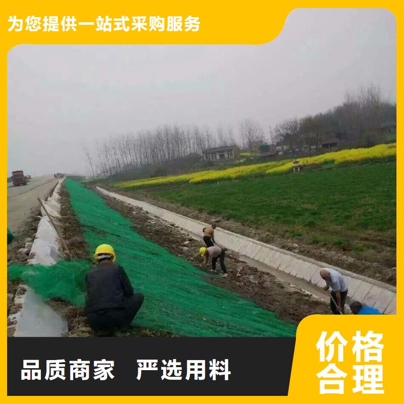 三维植被网塑料盲沟买的放心安兴用的舒心
