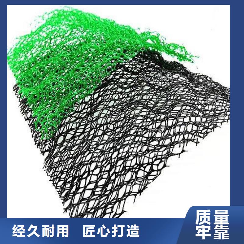 三维植被网玻纤土工格栅现货供应