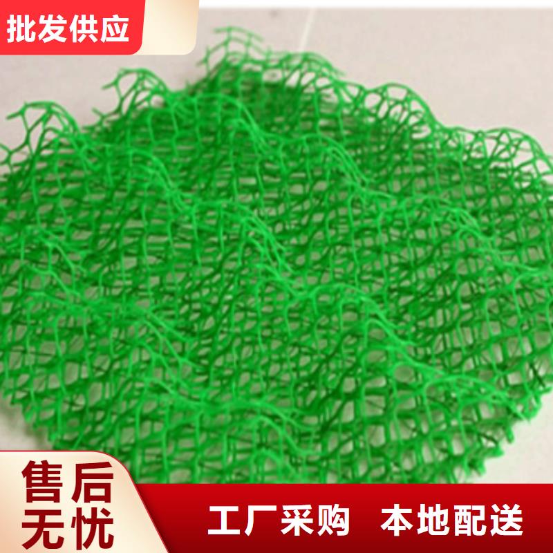 三维植被网-双向塑料土工格栅应用广泛