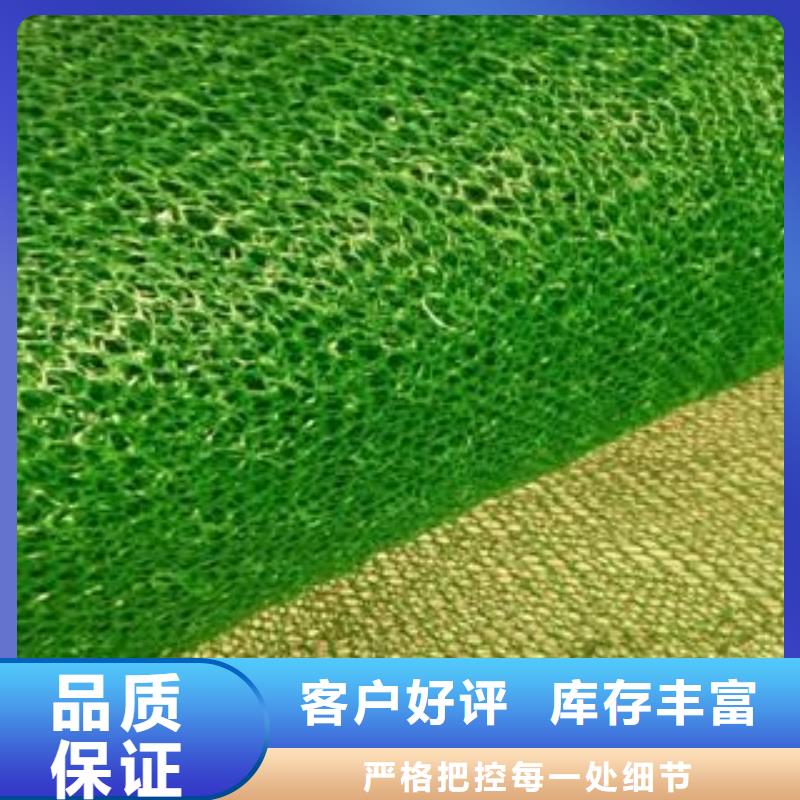 护坡用植被网-厂家定制-欢迎咨询-三维植被网厂家欢迎咨询