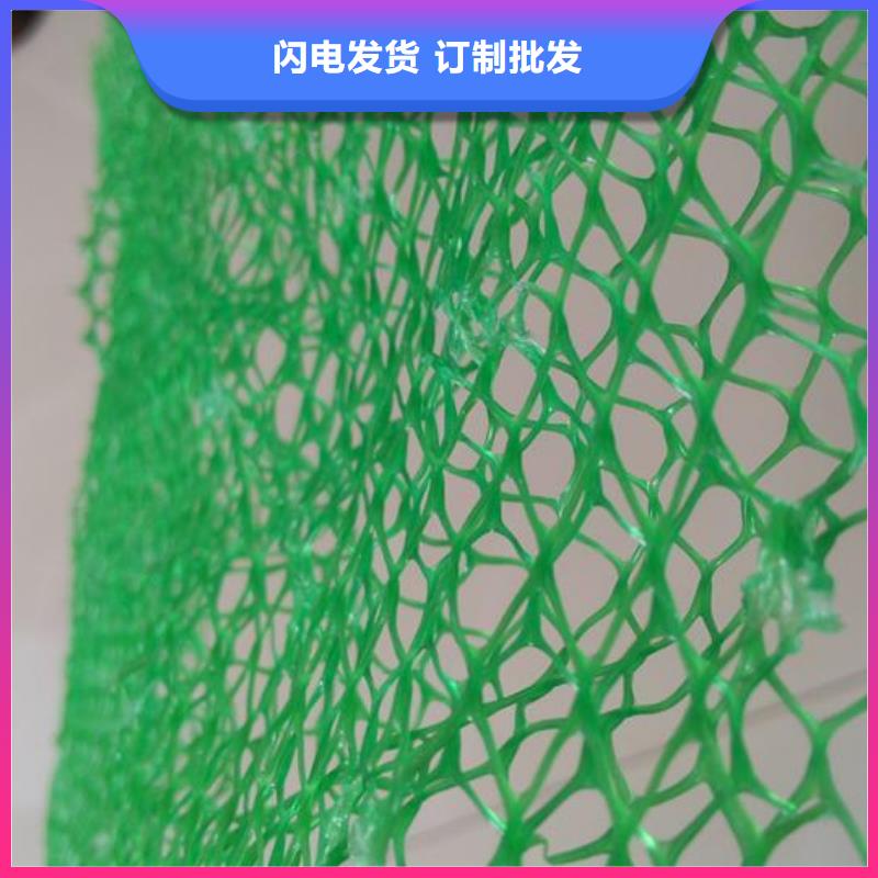 昌江县绿化用三维土工网垫三维植被网厂家直供价格优惠