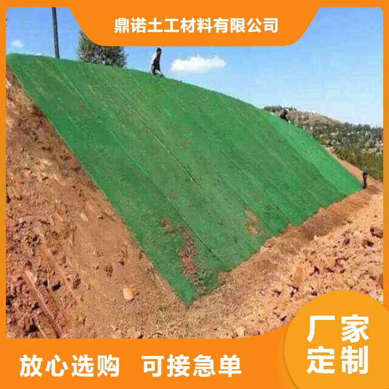 三维植被网厂家-边坡防护三维植被网