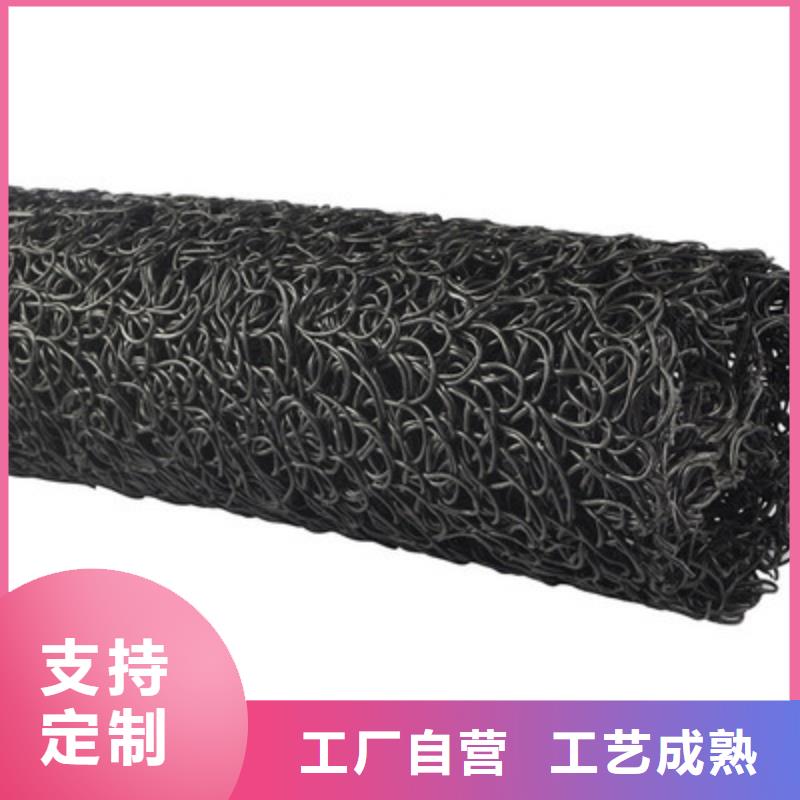 塑料盲沟三维植被网送货上门