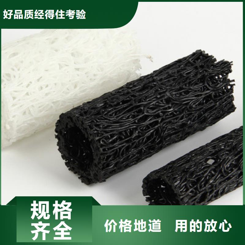 塑料盲沟三维植被网送货上门