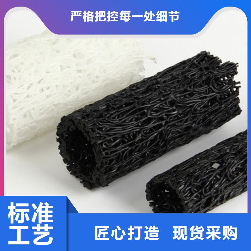 塑料盲沟涤纶土工格栅服务始终如一