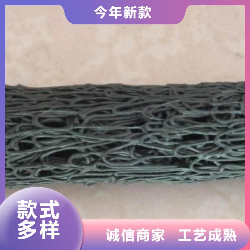 塑料盲沟涤纶土工格栅服务始终如一