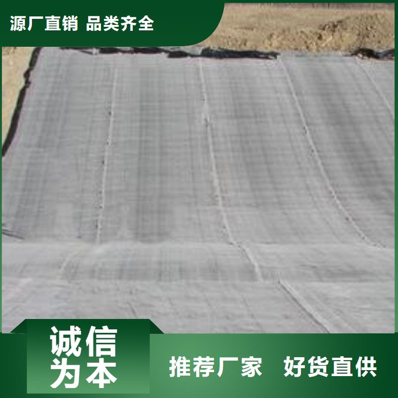 膨润土防水毯玻纤土工格栅通过检测
