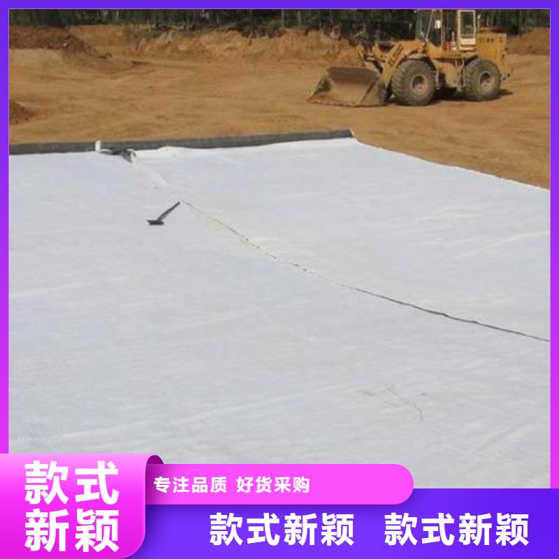 钠基膨润土防水毯厂家-河道膨润土厂家-防水毯厂家源头供应