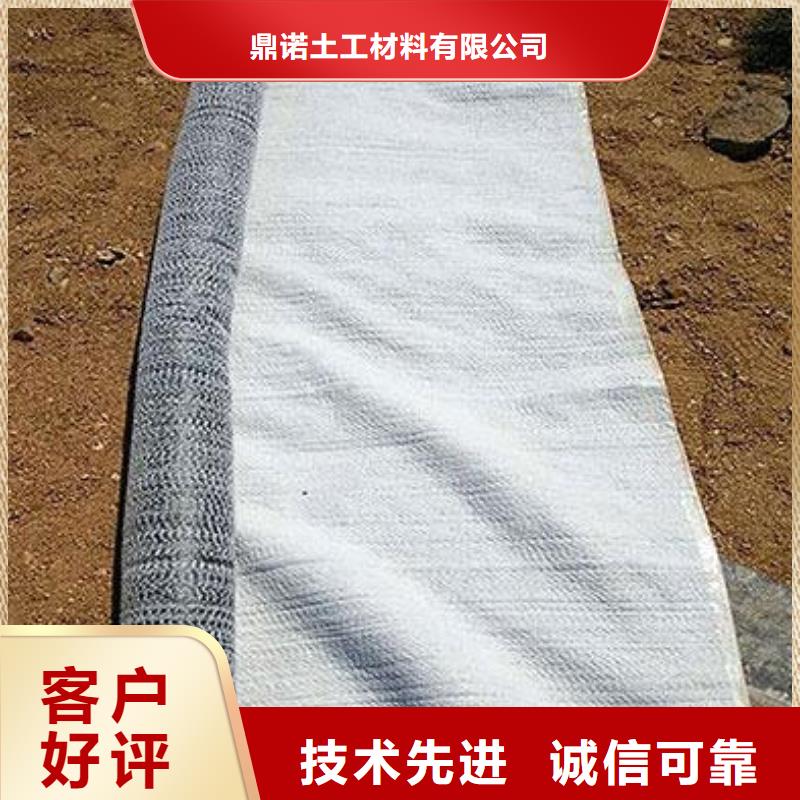 膨润土防水毯凸结点钢塑土工格栅源头工厂量大优惠