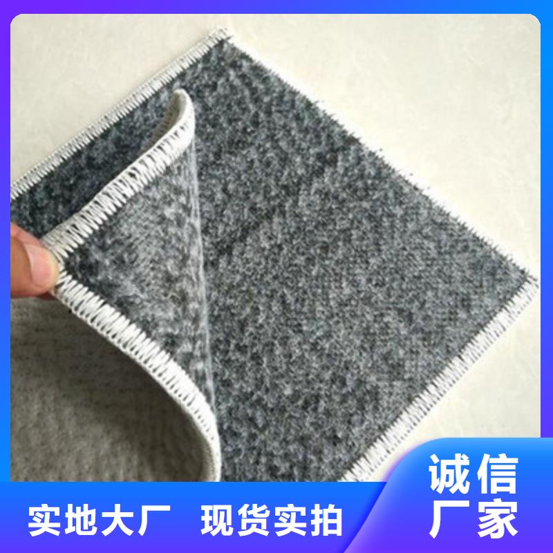 膨润土防水毯凸结点钢塑土工格栅商家