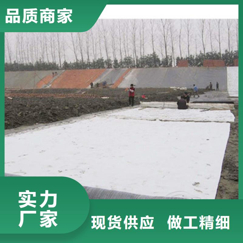 膨润土防水毯钢塑土工格栅一手货源