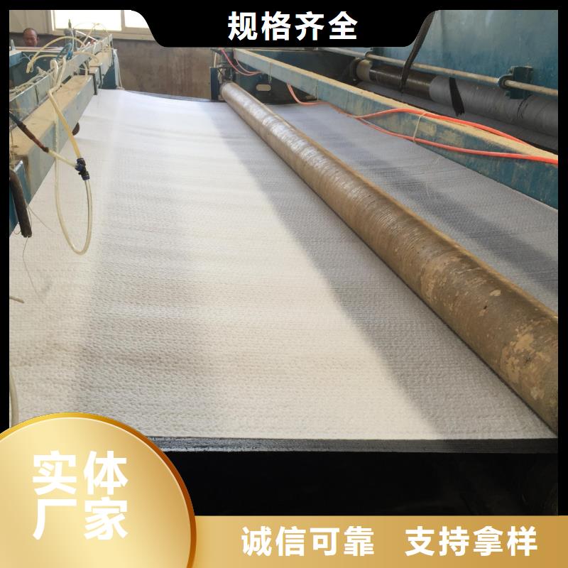 膨润土防水毯钢塑土工格栅支持货到付清