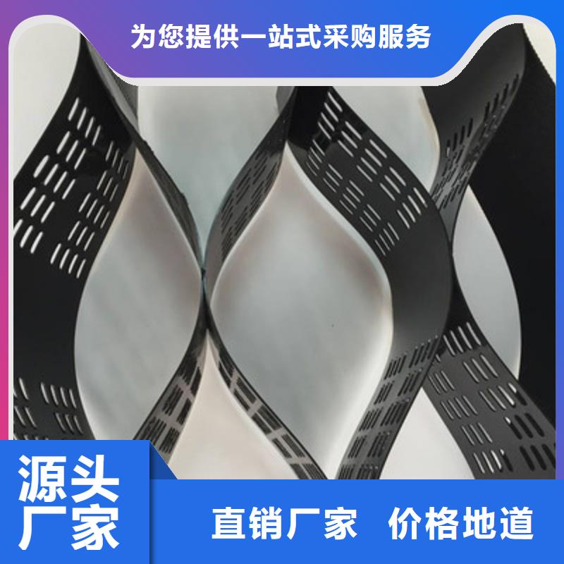 蜂巢土工格室_固土护坡园林绿化土工格室-厂家直供