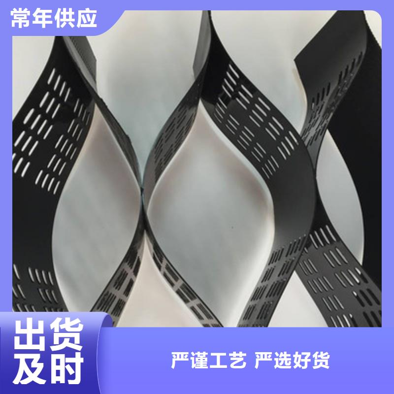 土工格室-三维植被网多种规格可选