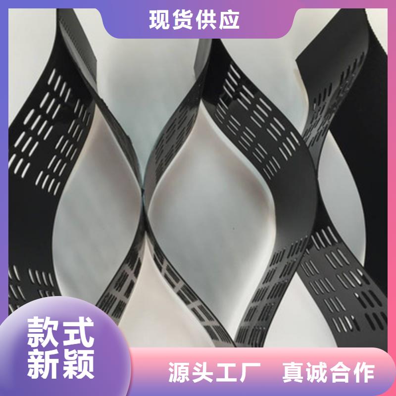 土工格室-三维植被网厂家精选
