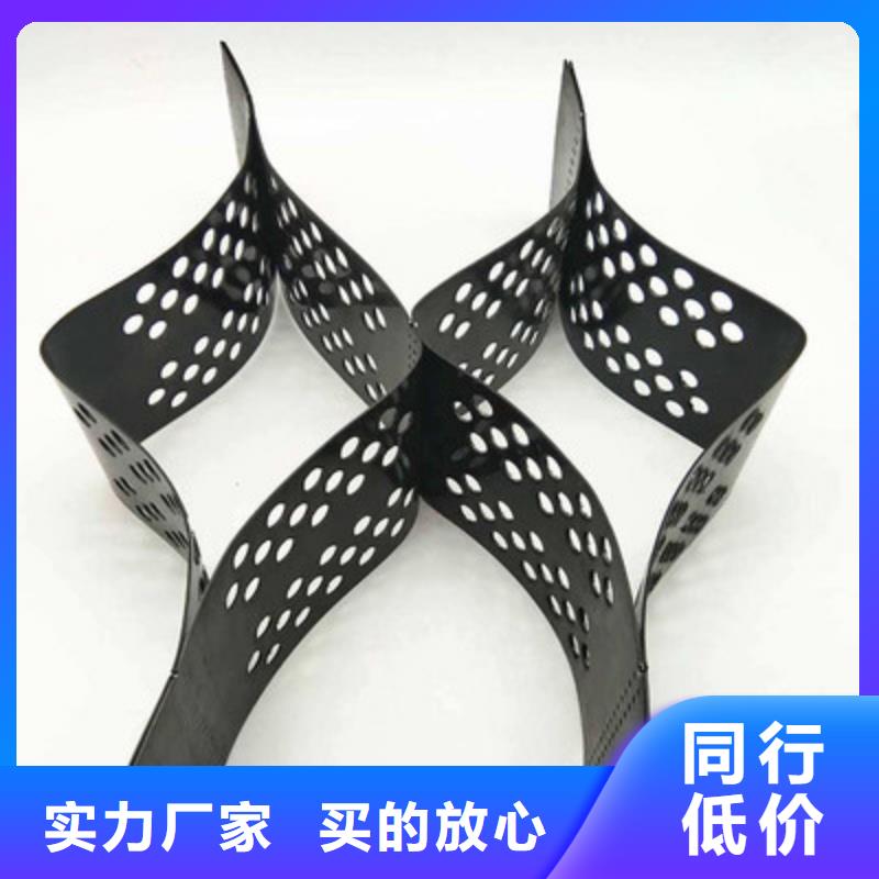 土工格室长丝土工布商家