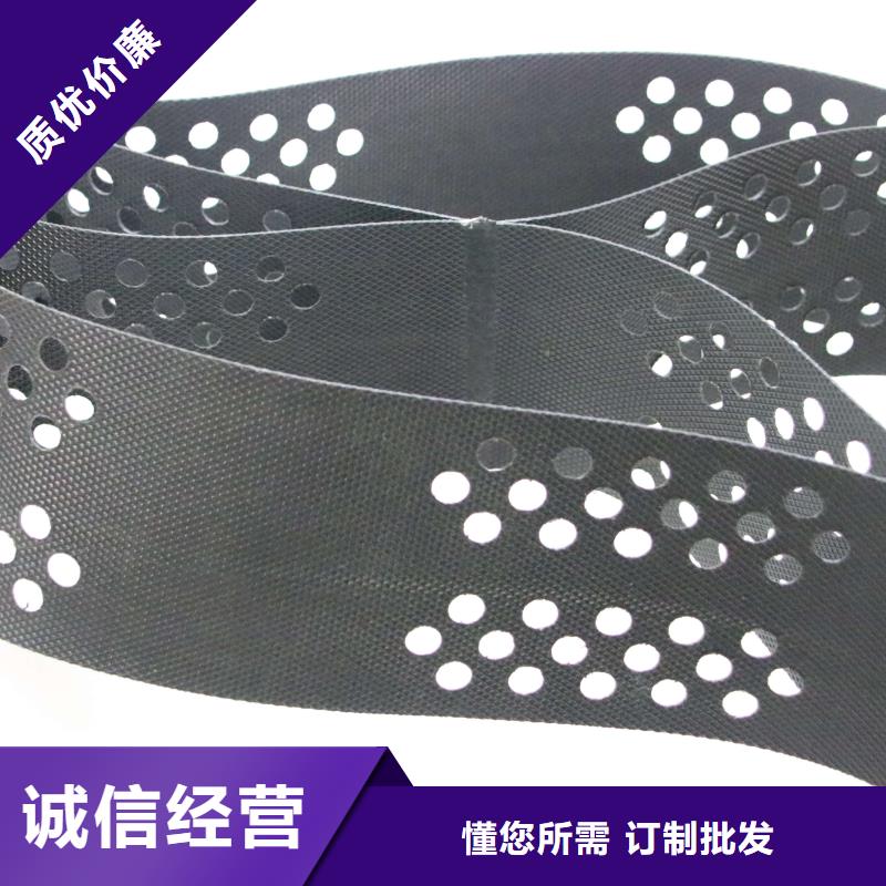 土工格室厂家-供应土工格室土工格室价格-伸缩自如土工格室