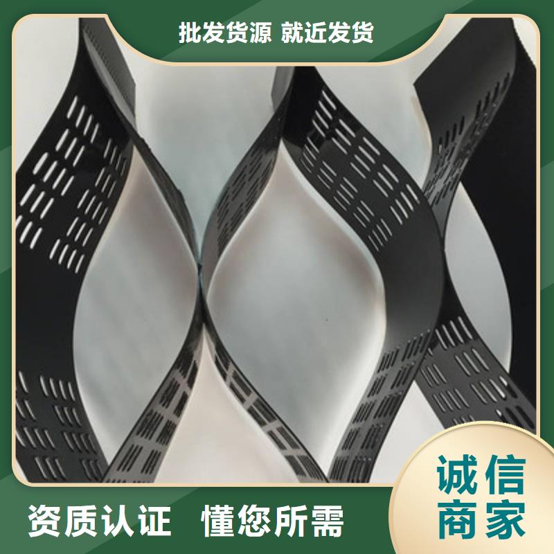 土工格室_钢塑土工格栅卓越品质保障
