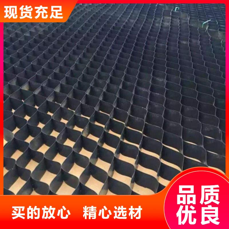 土工格室-三维植被网多种规格可选