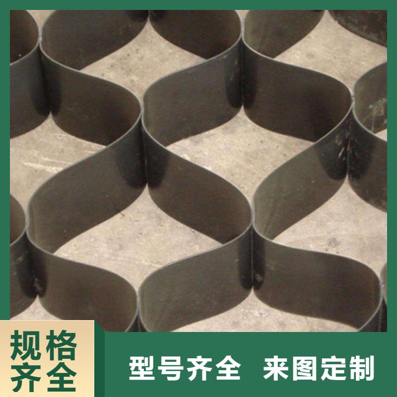 土工格室-三维植被网多种规格可选