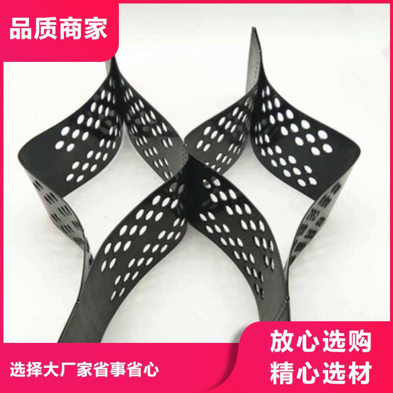 土工格室-三维植被网多种规格可选