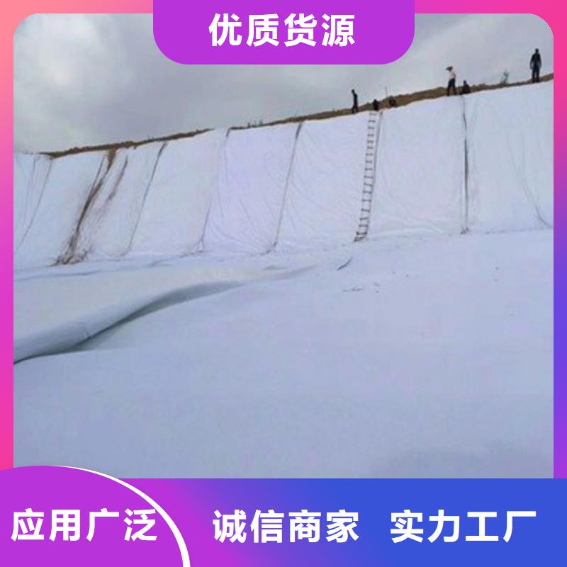 土工布钢塑土工格栅厂家量少也做