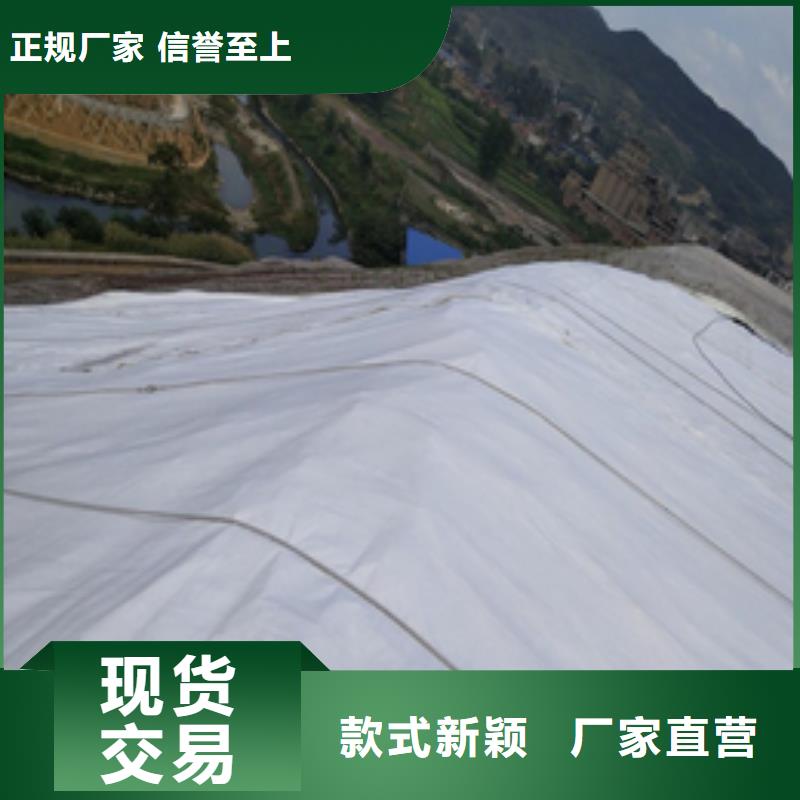 土工布有黑色的吗