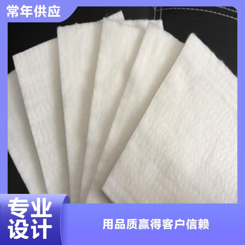 工程土工布_型号100g-1kg_可按需求定制