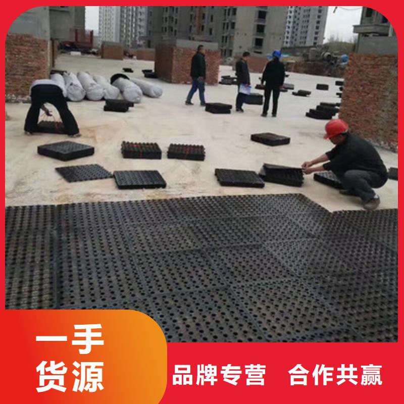 塑料排水板免费拿样