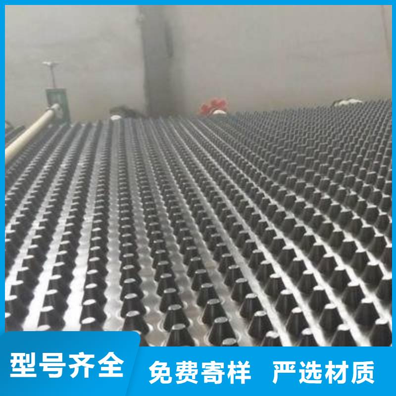 塑料排水板一站式采购