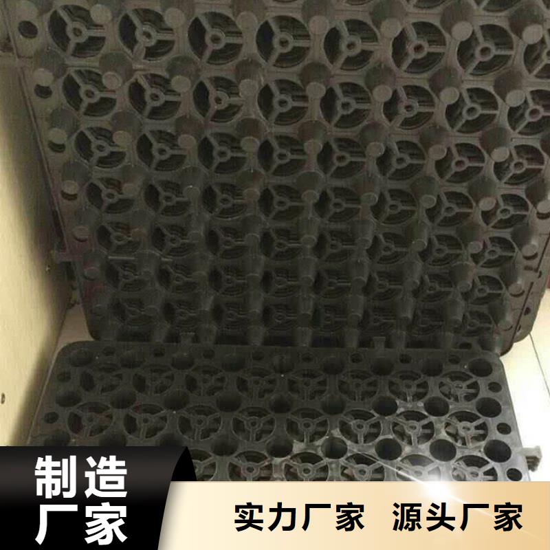 塑料排水板软基处理