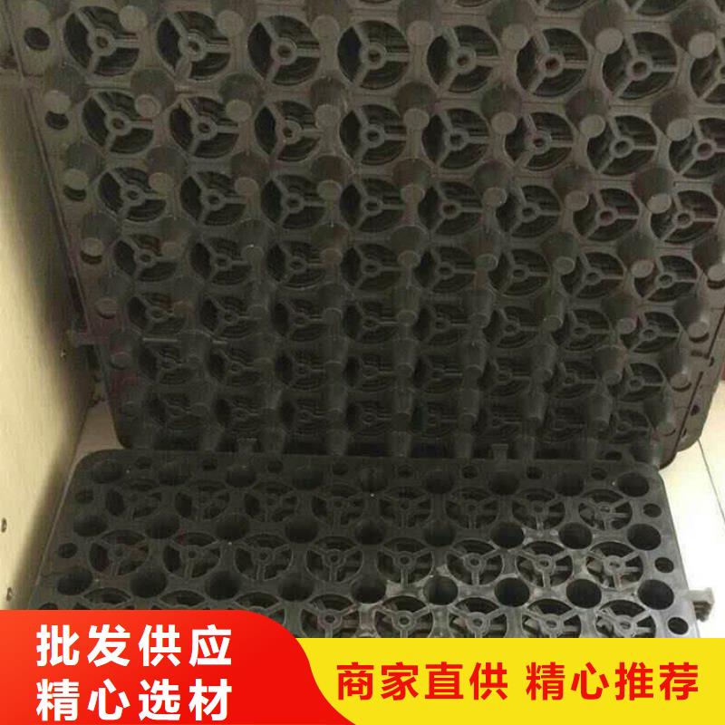 塑料排水板蓄水板