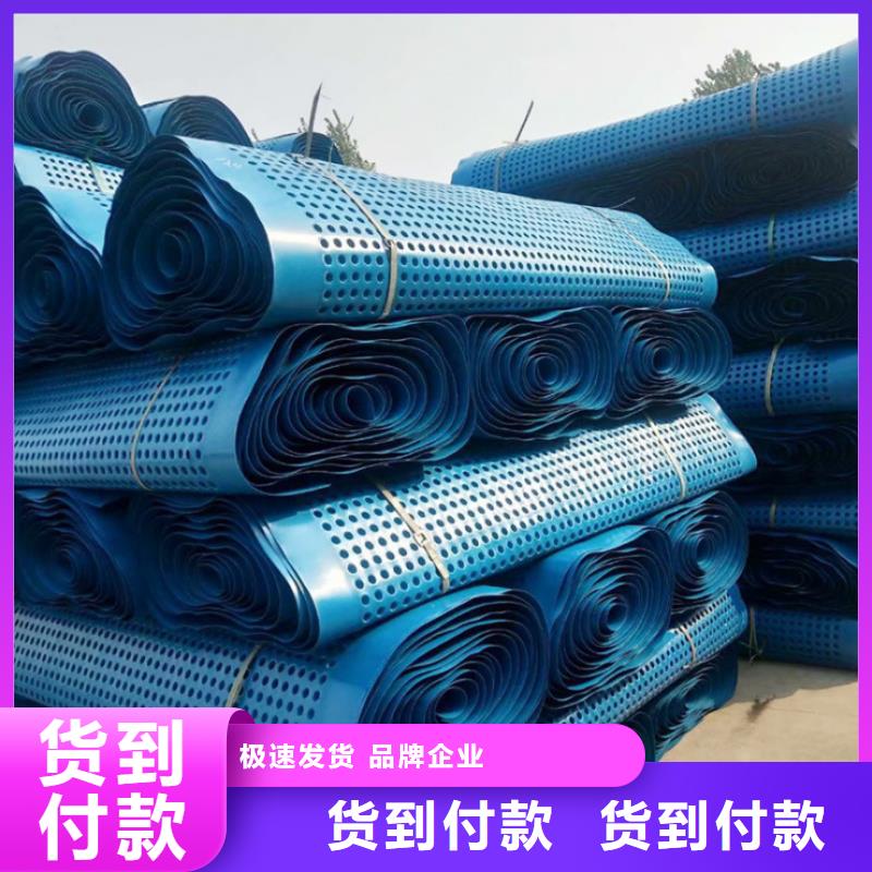 塑料排水板HDPE土工膜货源直供