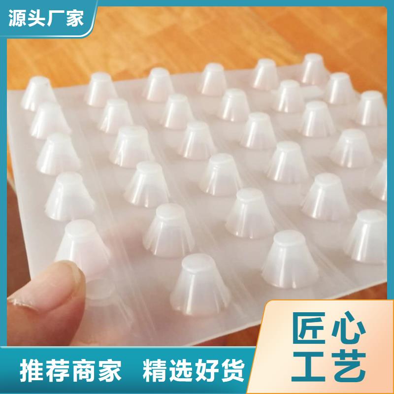 塑料排水板干什么的