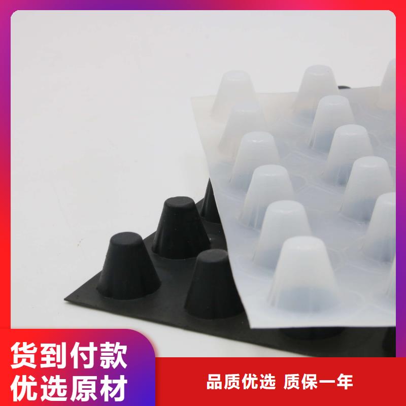 塑料排水板HDPE土工膜货源直供