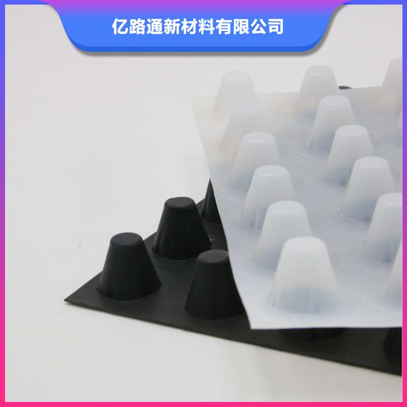 塑料排水板双向塑料土工格栅严选好货