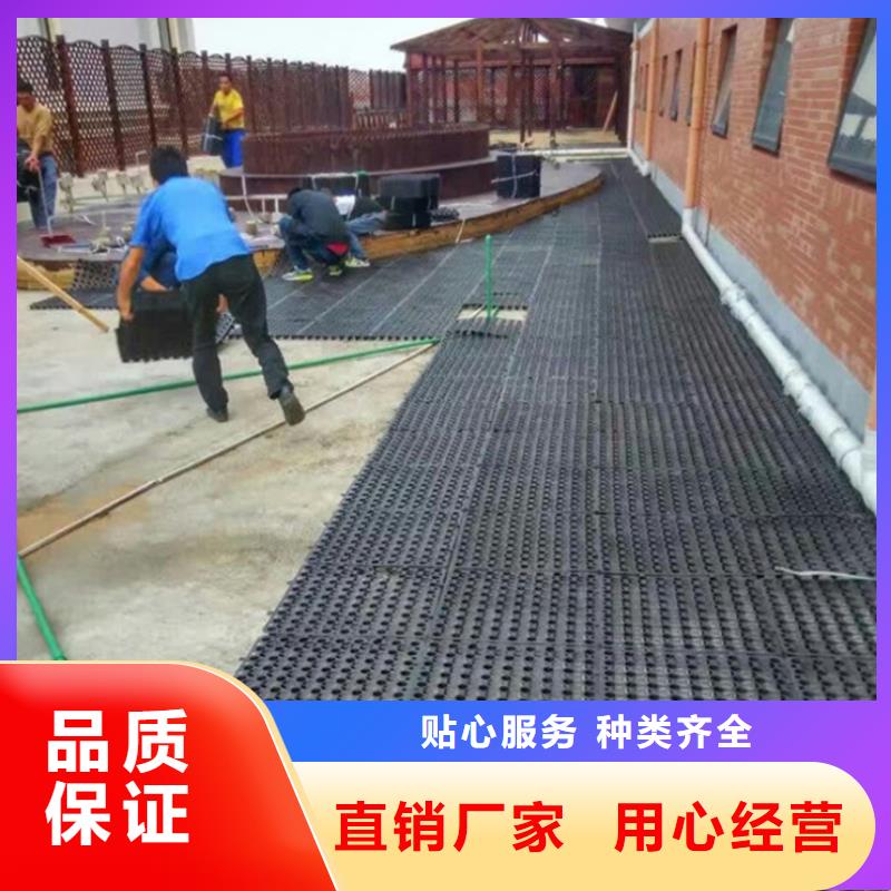 塑料排水板包施工