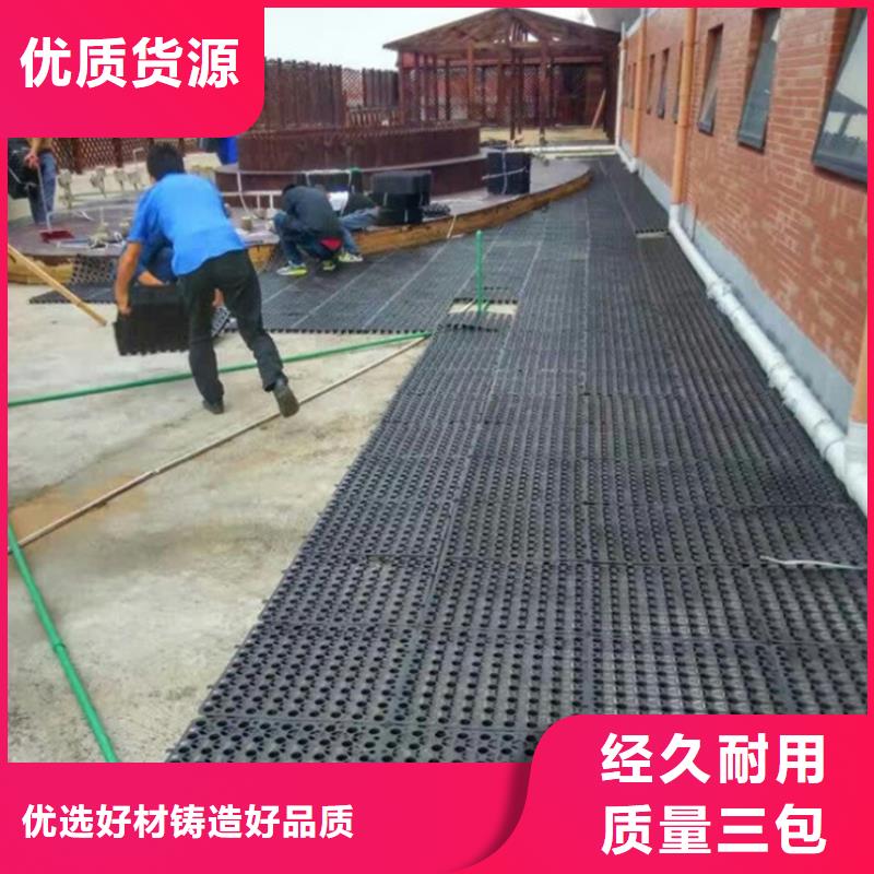 【塑料排水板_三维植被网厂家用好材做好产品】