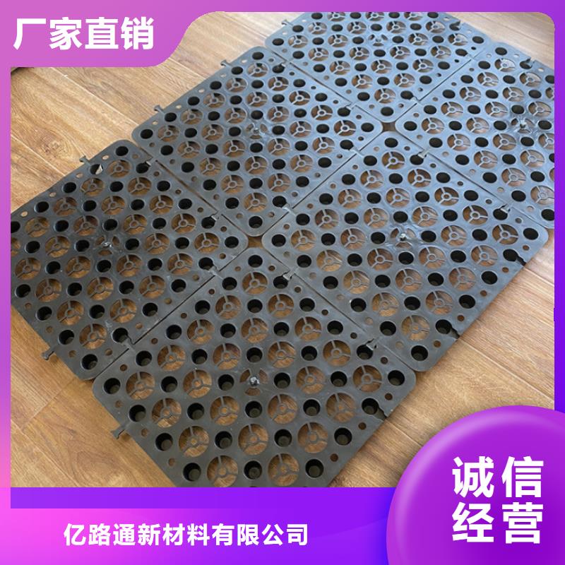 塑料排水板厂家