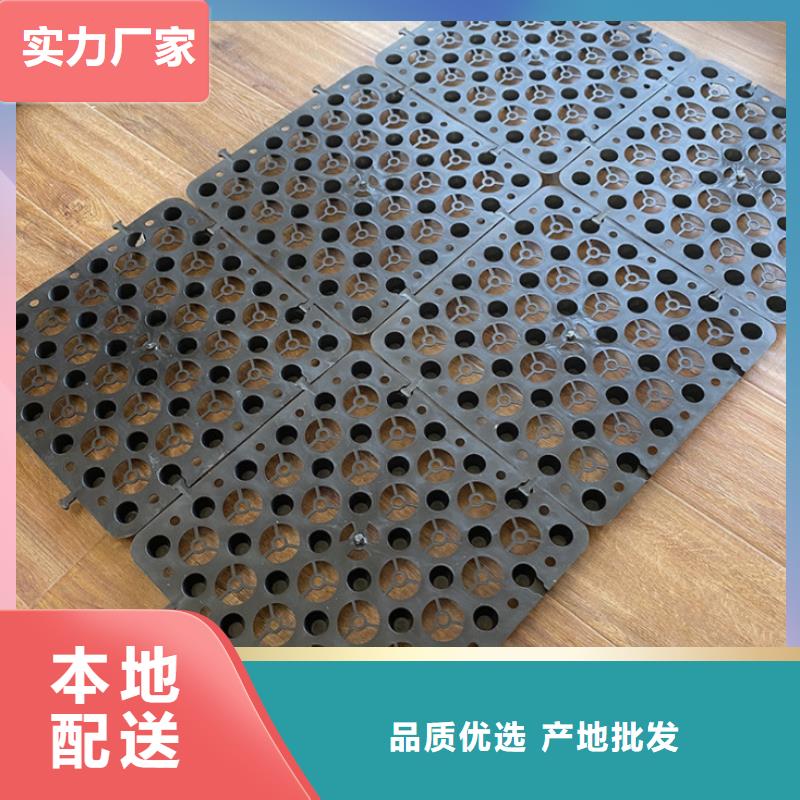 塑料排水板一站式采购