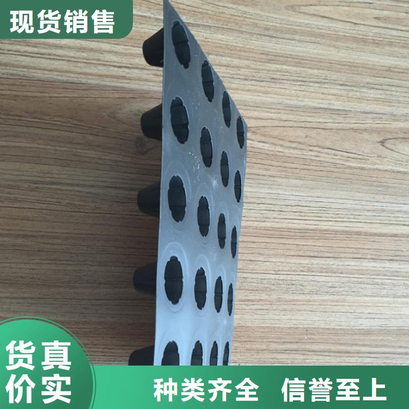 塑料排水板HDPE土工膜货源直供