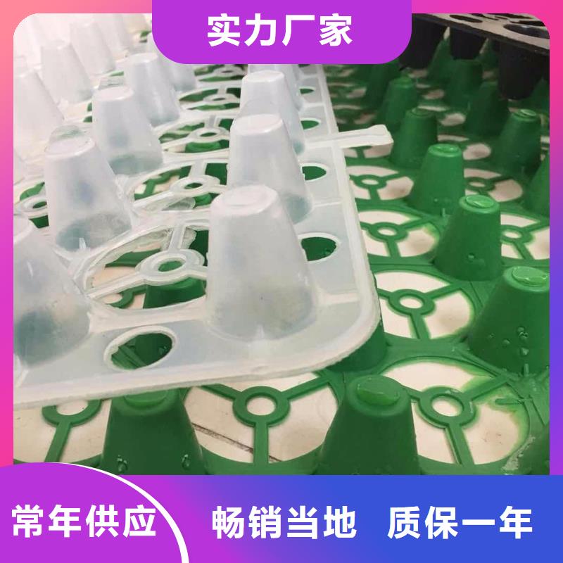 塑料排水板三维水土保护毯实力商家