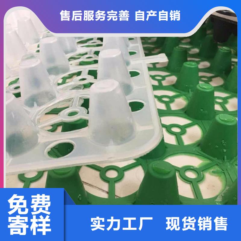东方市塑料排水板产品规格