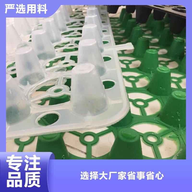 塑料排水板防护板