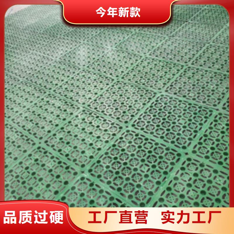 塑料排水板软基处理